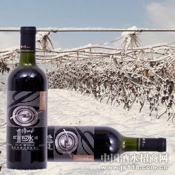 紫隆山紅寶石冰酒 品味時光凝萃，共創財富未來——通化紫隆山葡萄酒廠火熱招商