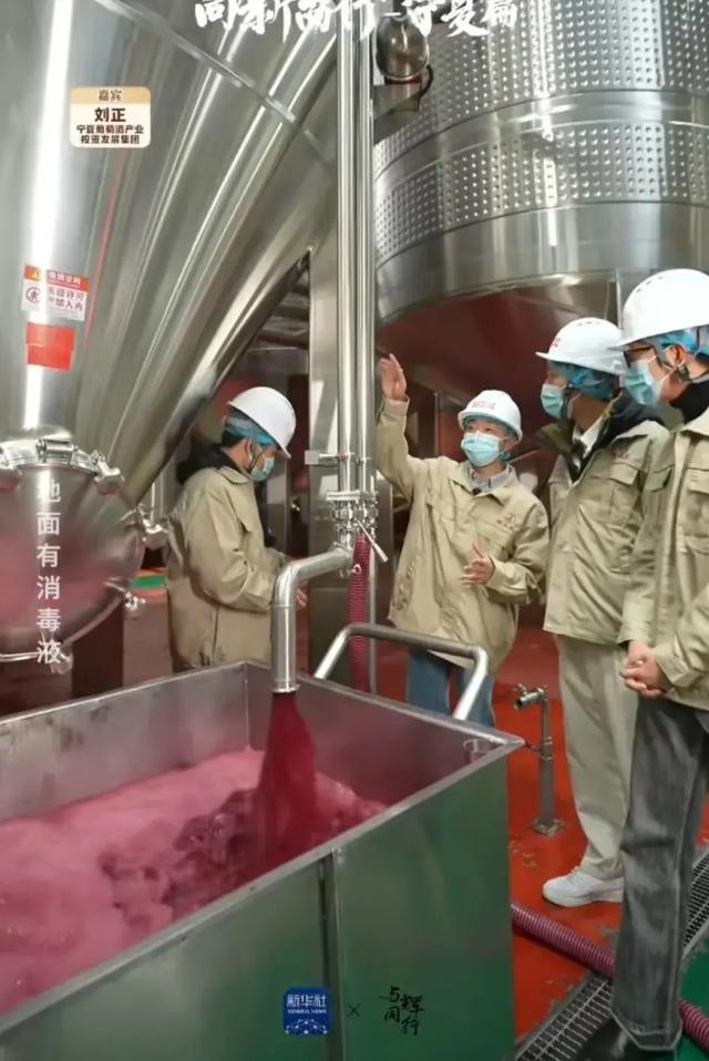 隨董宇輝寧夏行 探秘葡萄酒的誕生，品味杯中人生百味